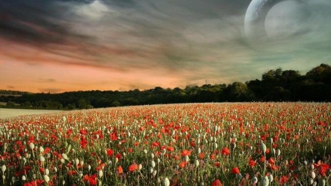 家电巨头集体&ldquo;换挡&rdquo;，72岁的董明珠越来越低调了？_格力电器_企业_言论